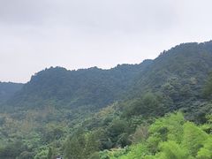 -缙云山景区