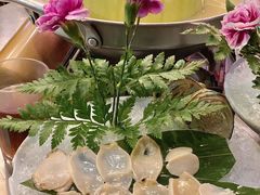 -禄婶鸡煲·打边炉
