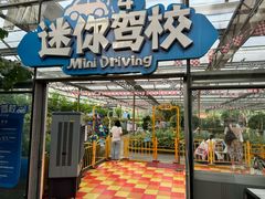 -南宫五洲植物乐园