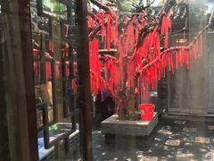 -董立兵烤鸭店(明湖店)
