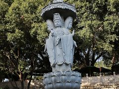 -仙岳公园