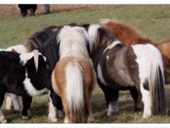 -北京广电国际酒店