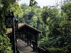 -天赐温泉