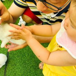 -萌宠亲子动物乐园(槐房万达店)