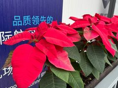 -上海虹桥国际机场