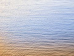 -春花秋色城市公园