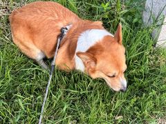 -宠颐生汉谟拉比宠物医院