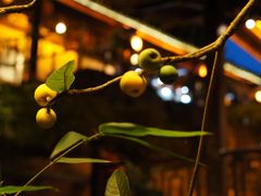 -巴倒烫陆派重庆火锅(南山店)