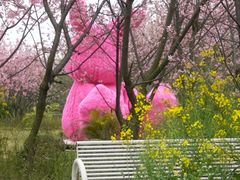 -福建鲤鱼洲酒店