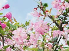 -名豪品鲜荟(云亭店)