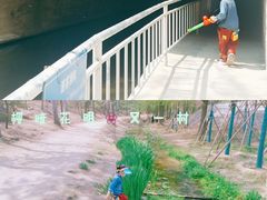 -白水寺森林公园