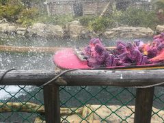 -厦门方特梦幻王国