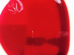 -巴奴毛肚火锅(安阳相州店)