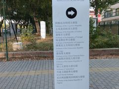 -三里屯东五街银杏大道