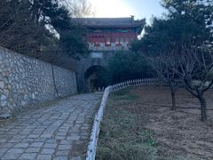 -云岗森林公园