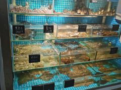 水产区-北戴河庆山饭店·海鲜砂锅粥(北戴河黑石路店)