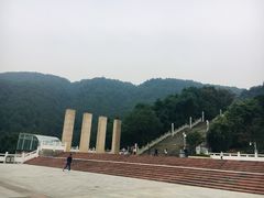 -铁山坪森林公园