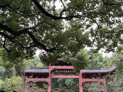 -杭州半山国家森林公园