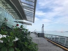 -国际邮轮中心码头(厦鼓码头)