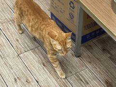 -玉华饮食店(茅台路店)