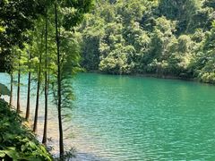 -鼎湖山风景区