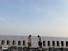 -碧海金沙
