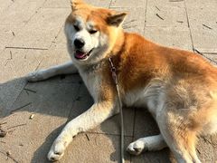 -中粮·祥云小镇