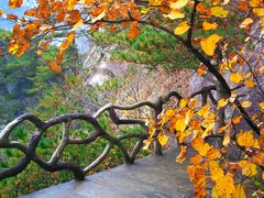 -罗田天堂寨风景区