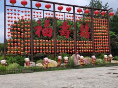 -合肥滨湖国家森林公园