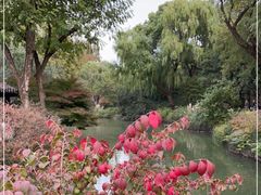 -上海醉白池公园
