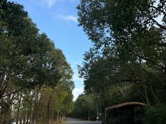 -上海海湾国家森林公园