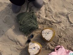 -东郊椰林