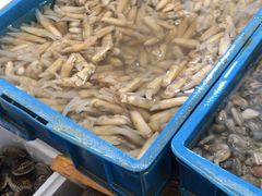 -众彩物流水产市场