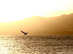 -天津东丽湖风景区