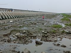 -南汇新城海滩