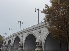 -尚贤河湿地