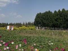 -嘉北郊野公园