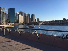 -悉尼海港大桥