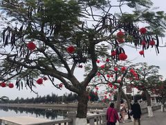 -龙舟池