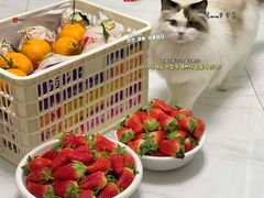 -堤口果品批发市场