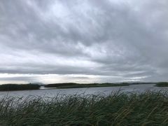 -太湖湖滨国家湿地公园-停车场