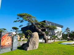 -罗红摄影艺术馆