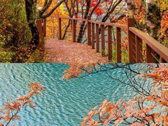 -叠溪松坪沟景区