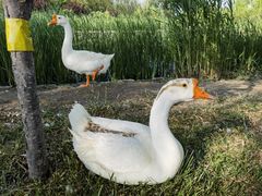 -永定河休闲森林公园