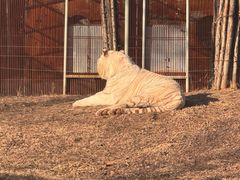 -秦皇岛野生动物园