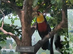 -国家自然博物馆