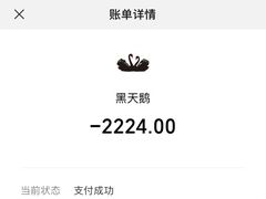 -BLACKSWAN黑天鹅(环球店)