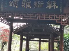 -龙头寺公园