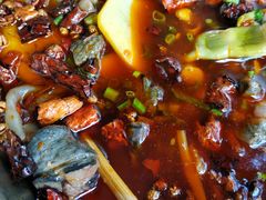 -黑竹香鸡(营和巷店)