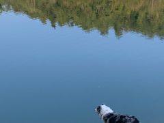 -孔雀湖生态旅游区